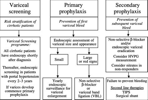 Prophylaxis Of Variceal Bleeding Download Scientific Diagram