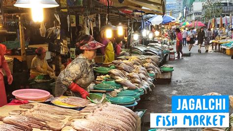 Fresh Fish Market In Busan South Korea Youtube