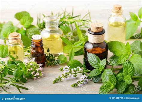 Fresh Herbs And Massage Oils On The Wooden Board Stock Image Image Of Green Applemint 109418725