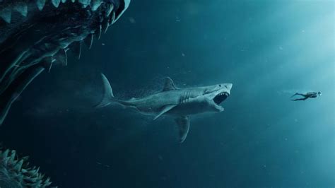 5 Best Shark Movies On Hbo Max The Little Facts