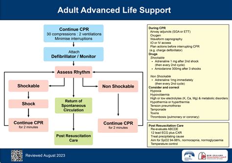 Revised Anzcor Adult Advanced Life Support Flowchart Medcast