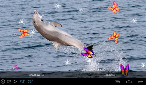 Free 3d Dolphin Live Wallpapers Apk Download For Android Getjar