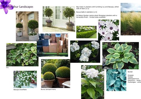 Mood Board For A Client Who Wanted Her Garden Doing Up For A Summer