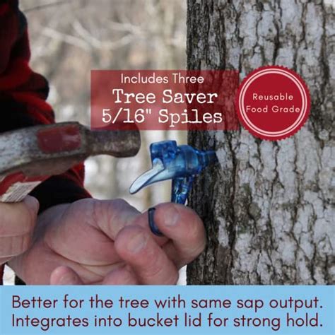 Deluxe Maple Tree Tapping Kit 3 Taps With Hooks 3 3 Gallon Sap