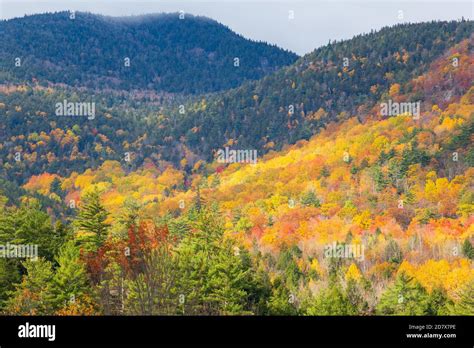 Aerial View Of Mountain Forests In Autumn With Fall Colors In