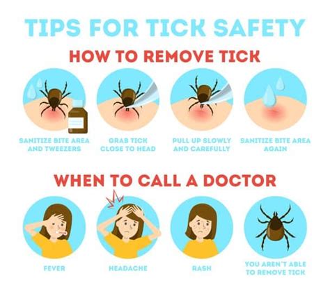 How To Remove A Tick