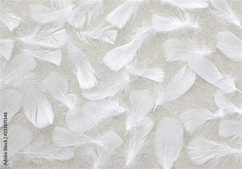 Angelic White Feather Background Small Fluffy White Feathers Randomly