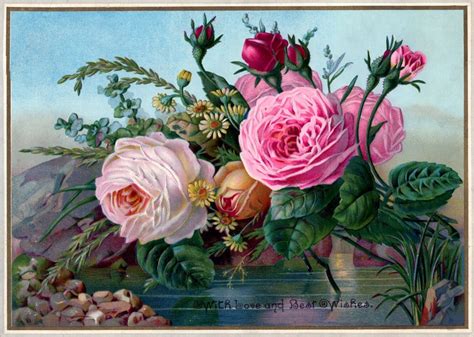 Free Public Domain Vintage Image Stunning Roses The