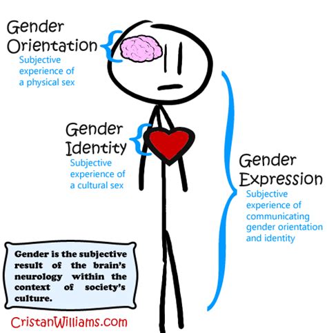 Terminology The Terfs