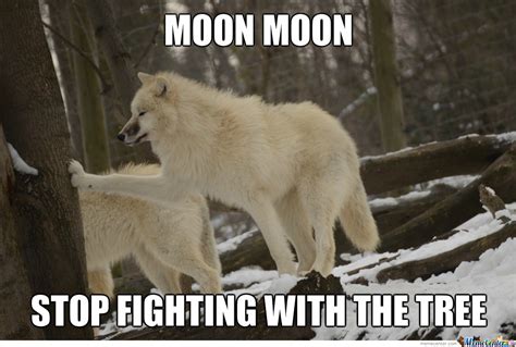 Search, discover and share your favorite full moon gifs. MoonMoon: A sub featuring the derpiest wolf/husky on the internet.