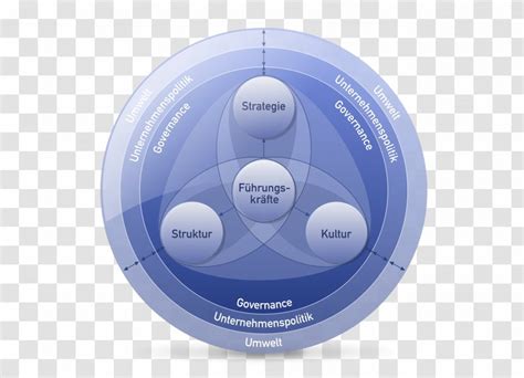 St Gallen Management Model Malik System Leadership Educational