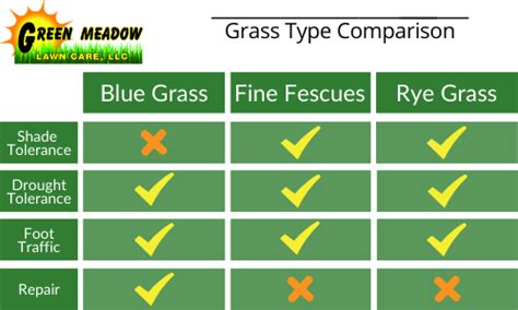 Seeding Your Lawn The Ultimate Guide