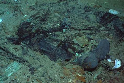 Potential Human Remains Unearthed In Titan Submarine Debris Davao