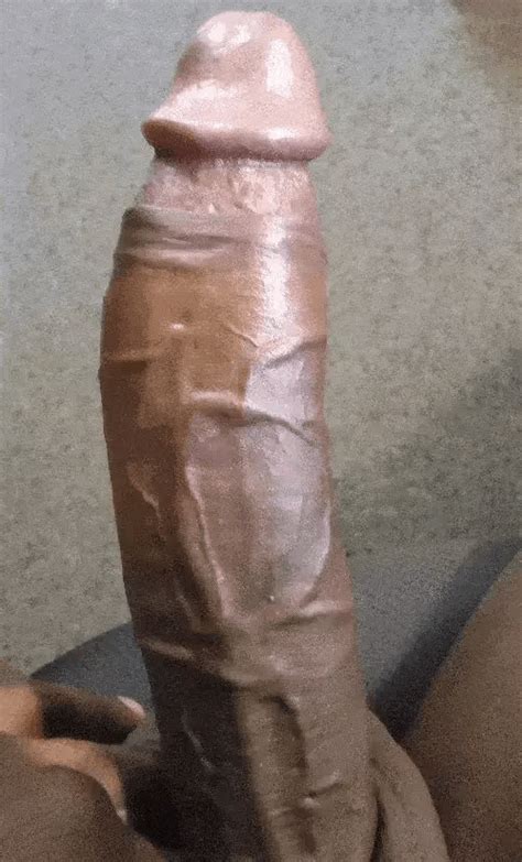 bbc babecock timmy012000