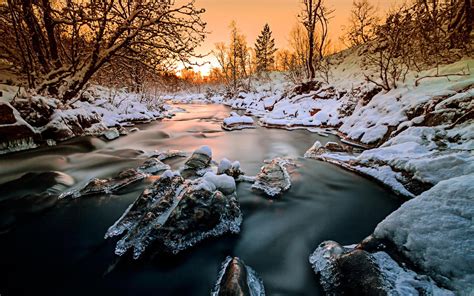 Norway Forest Trees River Snow Ice Winter Sunset Wallpaper
