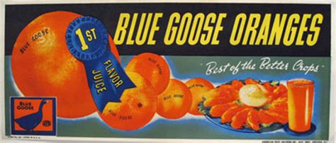 Blue Goose Oranges 1st Flavor Juice