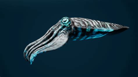 Sea Creature Pack By Jasper Cousins In Characters Ue4