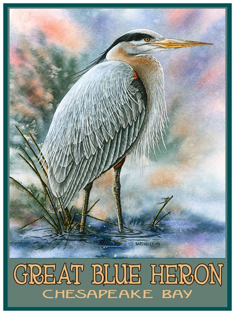 Chesapeake Bay Great Blue Heron Giclee Art Print Poster By Dave