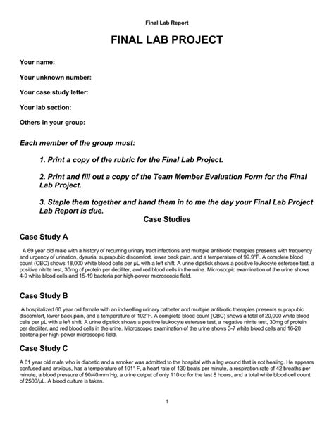 Final Lab Report Final Lab Project