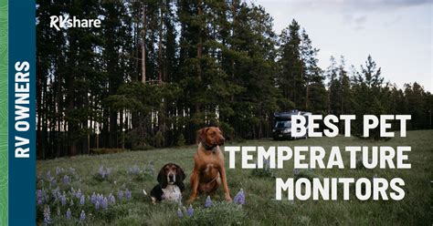 8 Best Pet Temperature Monitors For Your Rv Rvshare