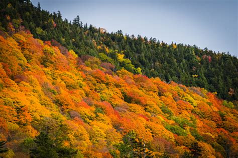 Fall Leaf Peeping In Vermont Jamie Bannon Photography Hartford