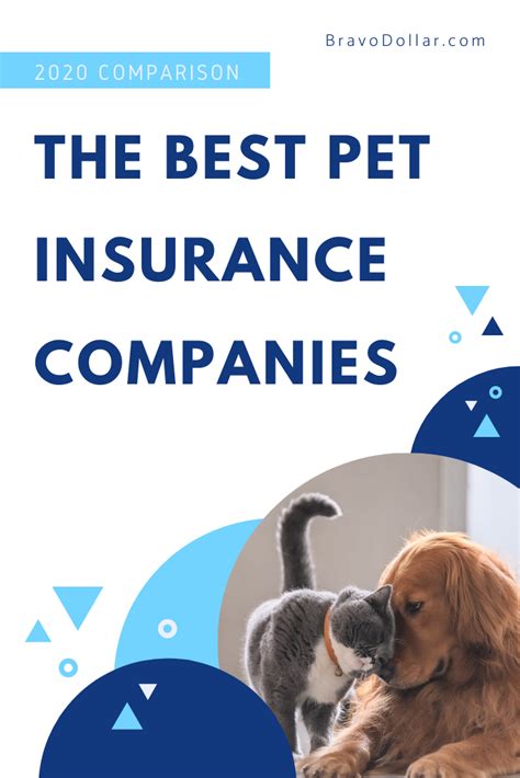 Top Pet Insurance In 2023 Protecting Your Furry Friend Dekoronline