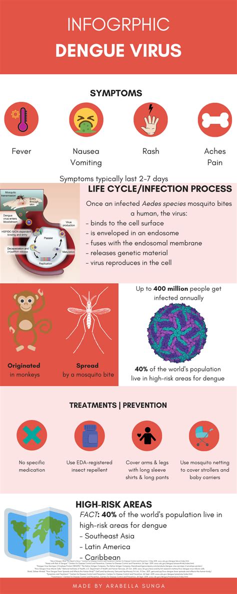Dengue Virus Infographic – Arabella Krystienne's AP Biology Blog