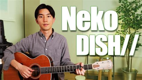 Neko Dish Cover Japanese Pop Music Youtube