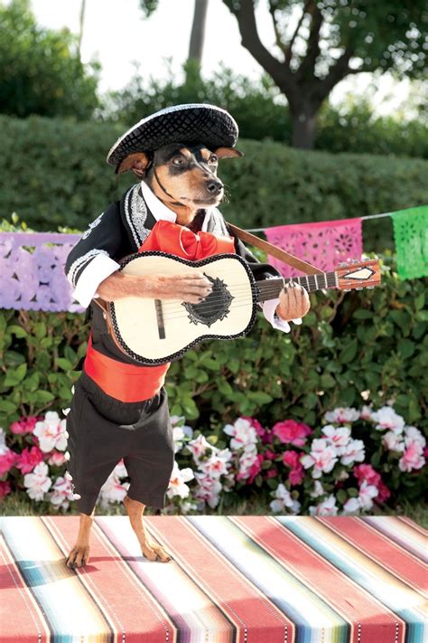 Mintas Creations Beverly Hills Chihuahua 3 Movie Day In 2023