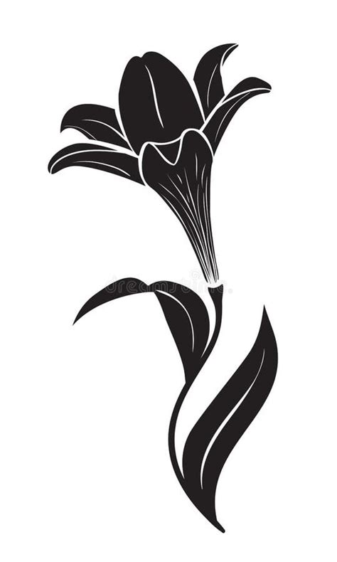 Lily Vector Black Silhouette Stock Illustrations 3828 Lily Vector