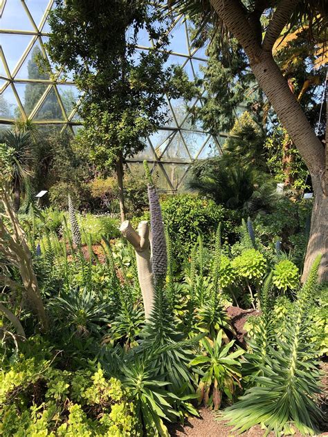 Check spelling or type a new query. China Garten Luxus Botanical Garden Dusseldorf 2020 All ...