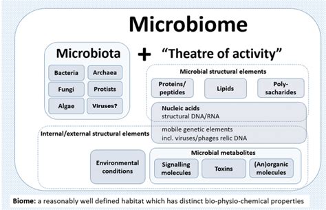 An Introduction To Microbiomes Microbiomes Health And The Environment
