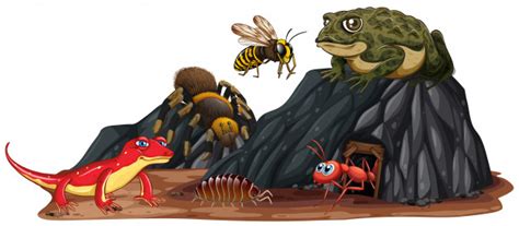 Get live cricket scores, scorecard updates, match schedule, predictions & results, stats, latest news & videos of all international, domestic & t20 series at cricket.com. حشرات وزواحف باللغة الانجليزية Insects and reptiles in English