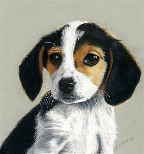Beagle Dog Drawing By Jasminasusak On Deviantart Colored Pencil