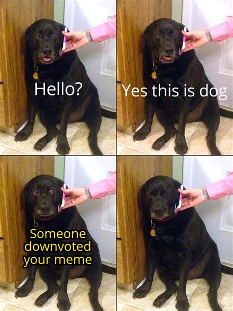 Another Yes This Is Dog Meme Rmemetemplatesofficial