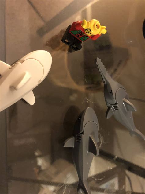 The Three New Sharks Meeting The Sole Surviving Lego Of The Great Lego
