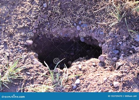 Closeup Of A Animal Hole Suitable Background For Signifying Decline Or