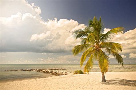Summer At A Tropical Paradise In Florida Key West Usa Stock Image