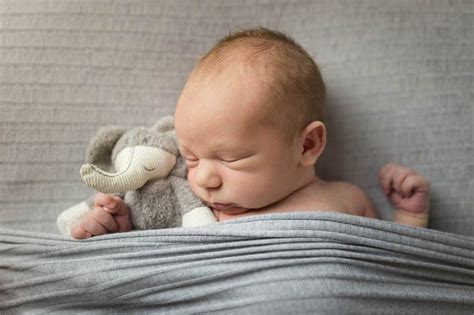 Newborn Photos By Moment In Time Photography Beauty And