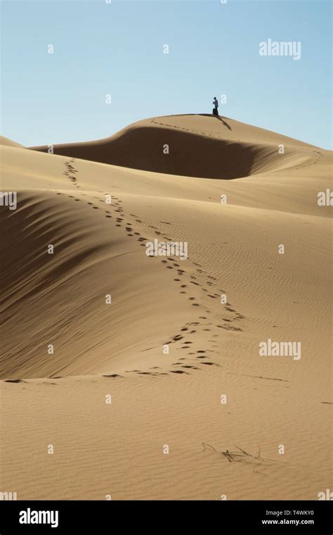 Man In Desert Stock Photo Alamy