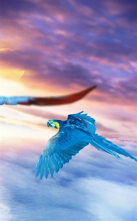 Macaw Journey Flights Sky Art 950x1534 Wallpaper Wild Animals