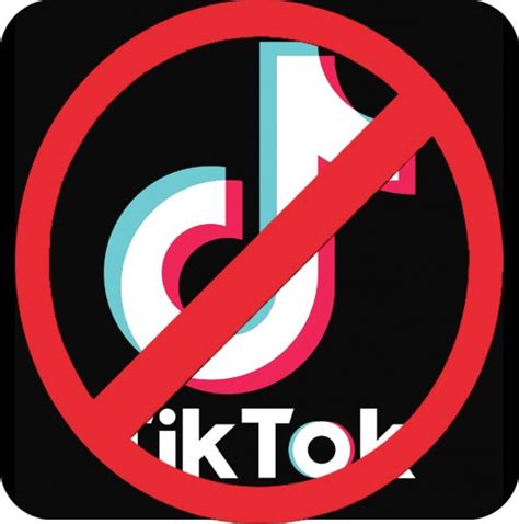 Tik Tok Banned In India All You Need To Know Voxytalksy