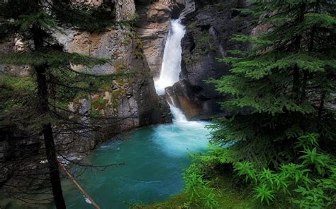 Beautiful Mountain Waterfall Fir Tree Nature 2560x1600 Hd