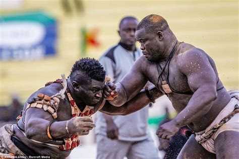 senegalese wrestling season resumes in dakar [photos]