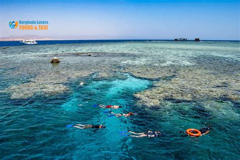 Tiran Island Diving Places Egypt Tourist Places Sharm El Sheikh