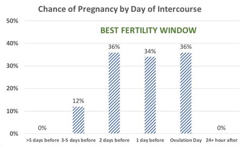 Sale What Is The Difference Between Ovulation And Fertile Window In