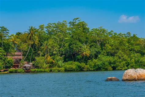 Lush Forests Surrounding The Koggala Lagoon In Sri Lanka Stock Image