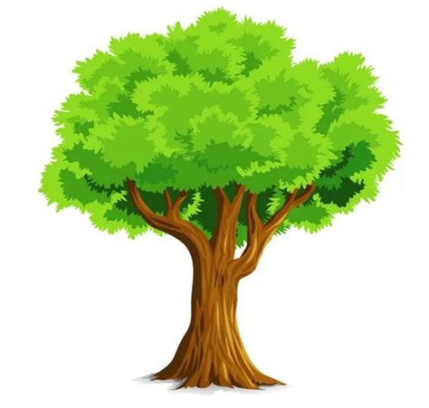 Контурные Картинки Деревьев Для Детей Telegraph