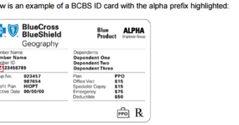 Group number on insurance card bcbs. Medical Billing and Coding - Procedure code, ICD CODE ...