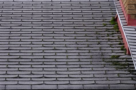 Top 12 Warning Signs Your Asphalt Shingle Roof Needs To Be Replaced